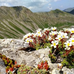 NaturBosniaHerzegovina Immagine 9